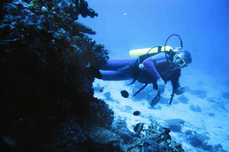 Diving in sosua